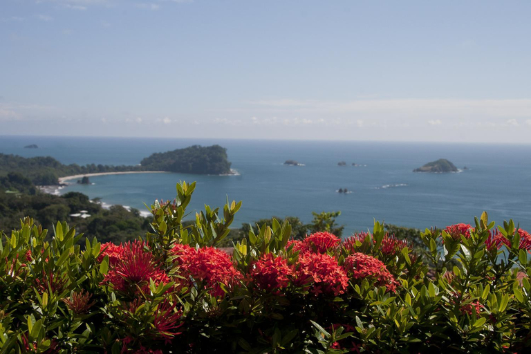 Others 5, Hotel Villas Nicolas - Adults Only, Aguirre