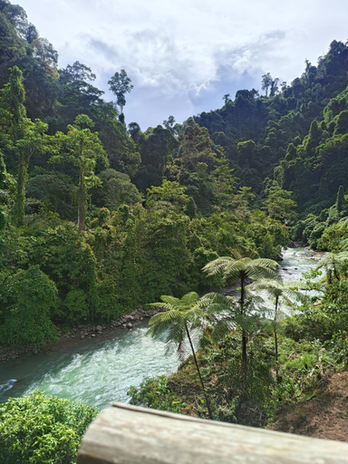 Others 3, Back to nature ecotourism, Langkat
