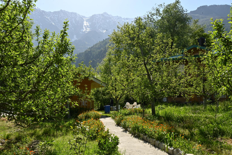 Others 5, Cascade Mountain retreat manali, Kullu