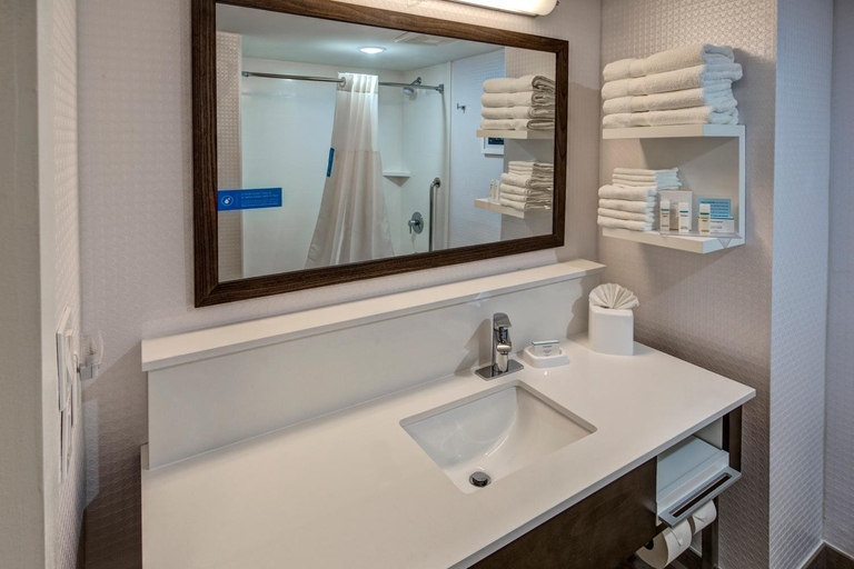 Bathroom 5, Hampton Inn Orlando-Maingate South, Polk