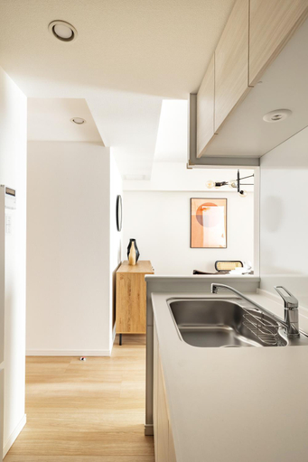 Kitchen 4, Dash Living Asakusa East