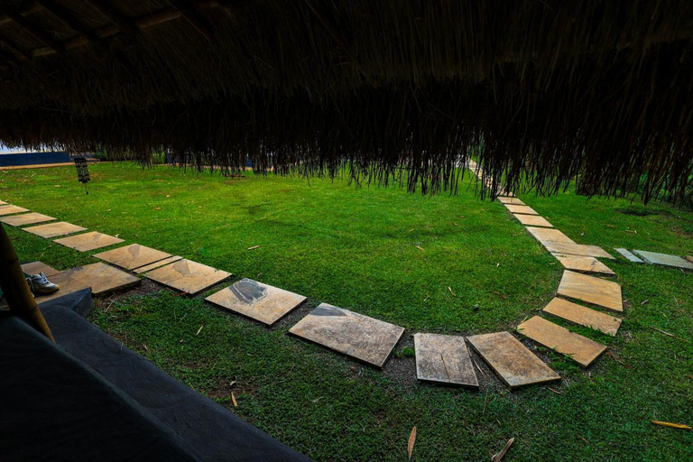 Others 1, Bamboo Grove, Wayanad