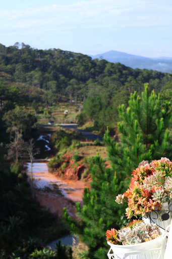 Others 3, Đong Mang Homestay, Lạc Dương