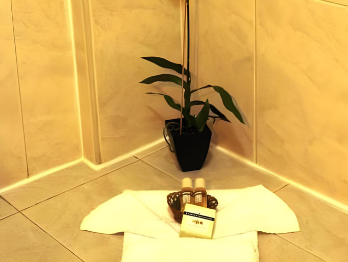 Bathroom 2, Aruba Surfside Marina