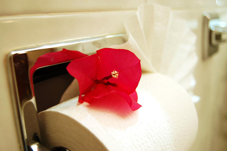 Bathroom 4, Hotel Del Principado, Mexico City