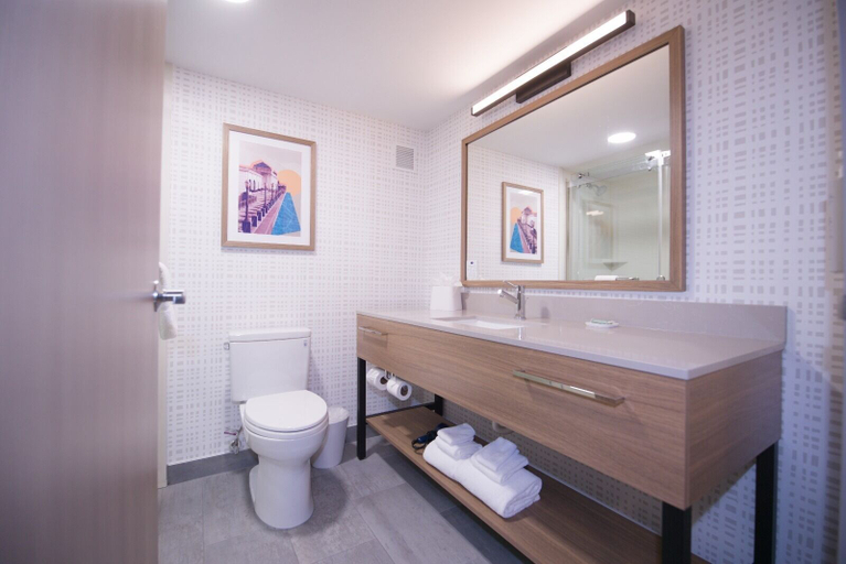 Bathroom 5, Hampton Inn Chicago-Carol Stream, Dupage