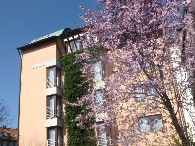 Others 5, Atelier Hotel Essen-City, Essen