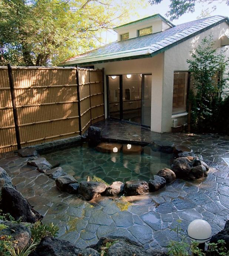 Sport & Beauty, Sundance Resort Hakone Miyagino, Hakone