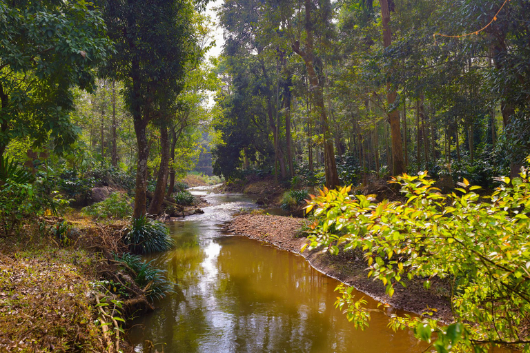 Others 5, The Grand Retreat - Chikmagalur, Chikmagalur