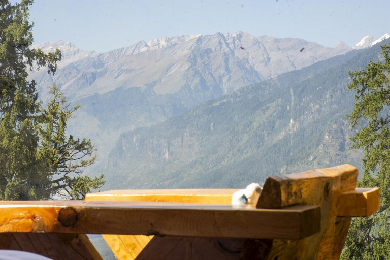 Public Area, Cove The Glass House, Kullu