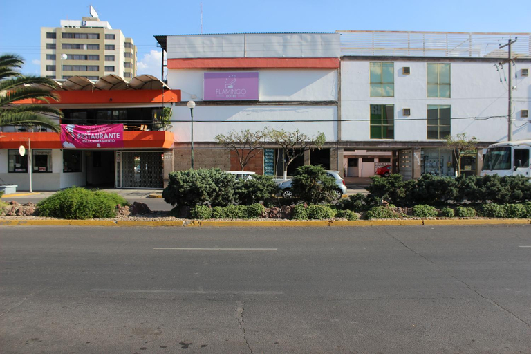 Exterior & Views 2, Hotel Flamingo Irapuato, Irapuato