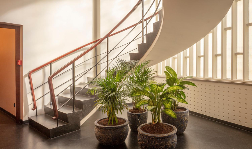 Public Area 3, Ceuta Terrace Suites, Porto