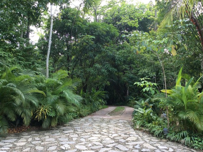Public Area 2, Boutique Hotel Quinta Chanabnal, Palenque