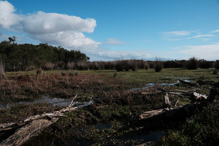 Surrounding environment 5, Roseneath Holiday Park, Wellington - Avon
