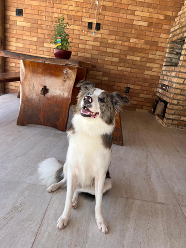 Others 5, Villa Atalaia, Aracaju
