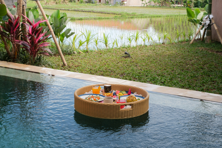 Sport & Beauty 4, Terra Sayan, Gianyar