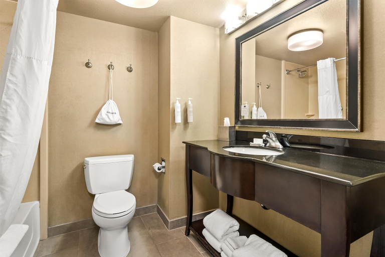 Bathroom 4, Hampton Inn & Suites Merced, Merced