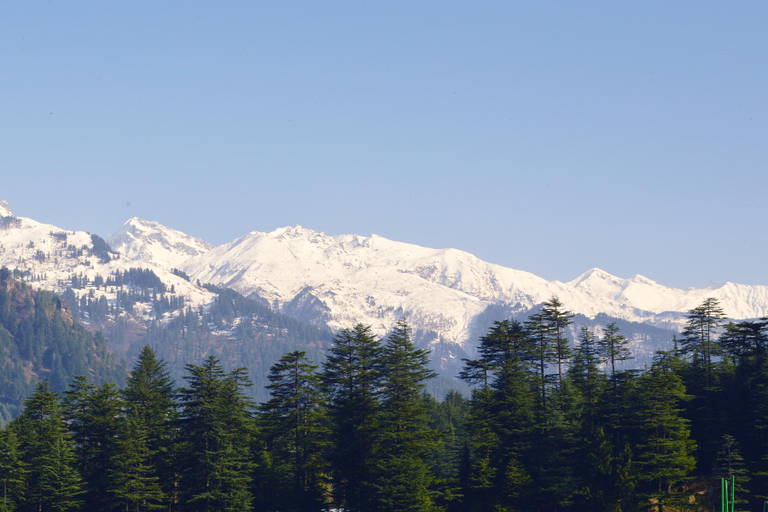 Others 3, Tourist Nest Old Manali Diaries, Kullu