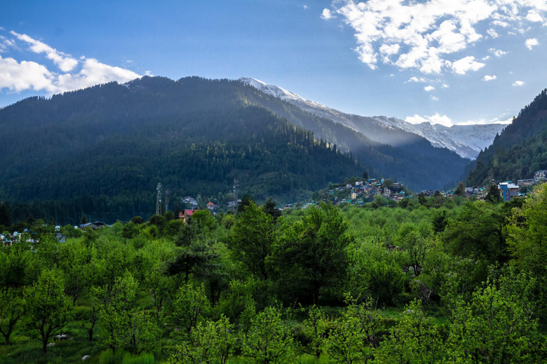 Others 5, Tripli Hotels Namaste Manali, Kullu