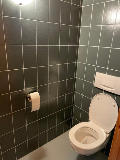 Bathroom 2, Ferienhaus am Burgsee, Landeck