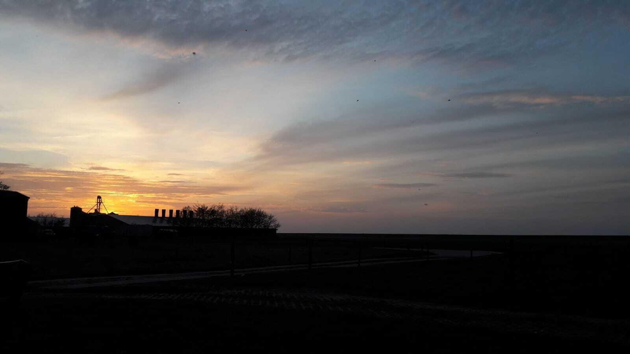 Others 4, Ferienhof Schild, Friesland