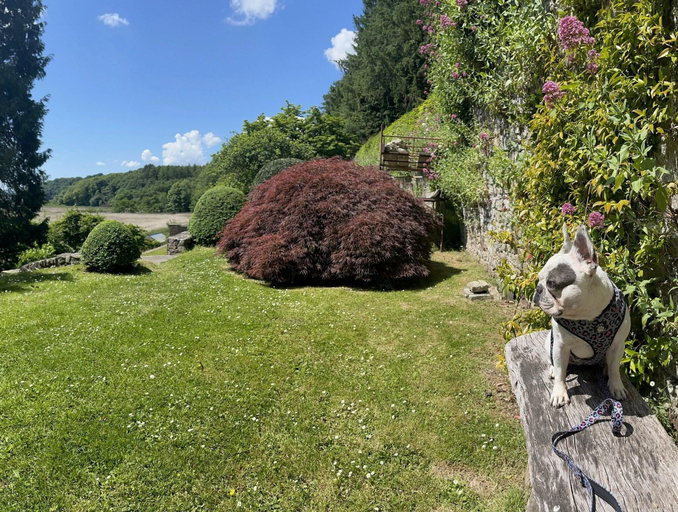 Public Area 3, Slebech Park Restaurant & Rooms, Pembrokeshire