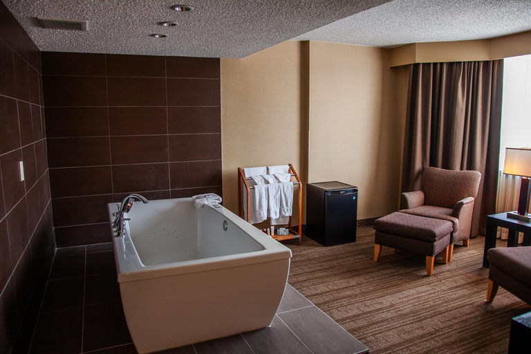 Bathroom 4, Edmonton Hotel & Convention Centre, Division No. 11