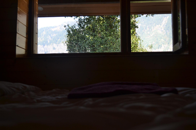 Others 5, Forest Wood Cottage, Kullu