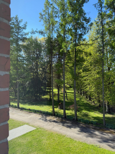 Others 5, Eglute, Šilutės