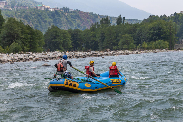 Others 4, Raison Meadows , Kullu