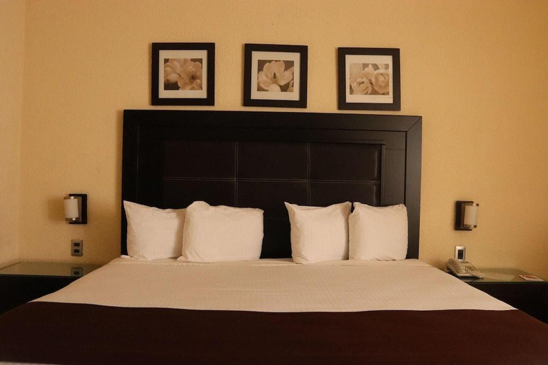 Bedroom 3, Hotel Santa Irene Guadalajara, Guadalajara