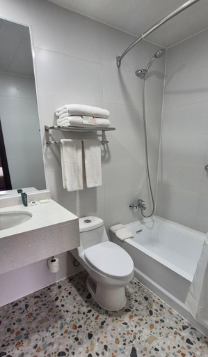 Bathroom 4, Hotel Diego de Almagro La Serena Express, Elqui