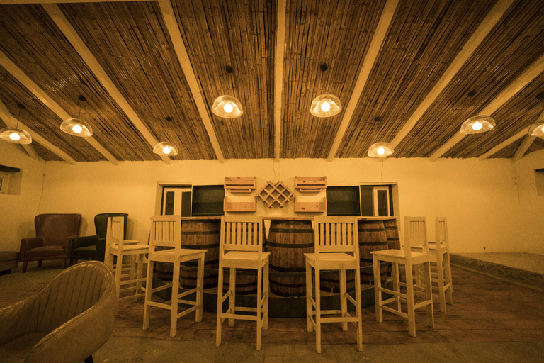 Food & Drinks 5, The Village Manali-TVM, Kullu