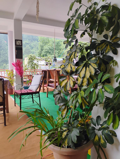 Food & Drinks 5, Wood Stone Home Stay, Kullu