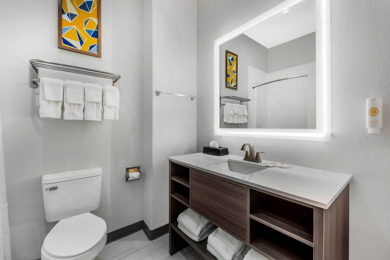 Bathroom 5, Comfort Inn & Suites Schulenburg, Fayette