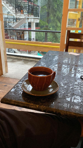 Food & Drinks 5, The Village Manali-TVM, Kullu
