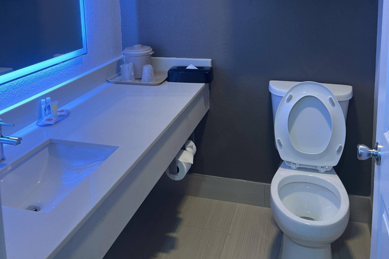 Bathroom 3, Comfort Inn & Suites Houston Key-Katy, Houston