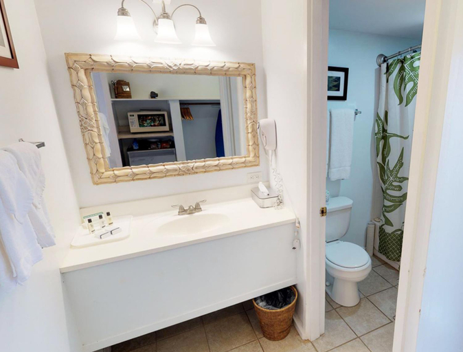 Bathroom 3, Hotel Molokai, Maui