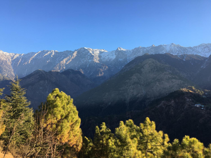 Others 5, Ess & Bee Resorts, Kangra
