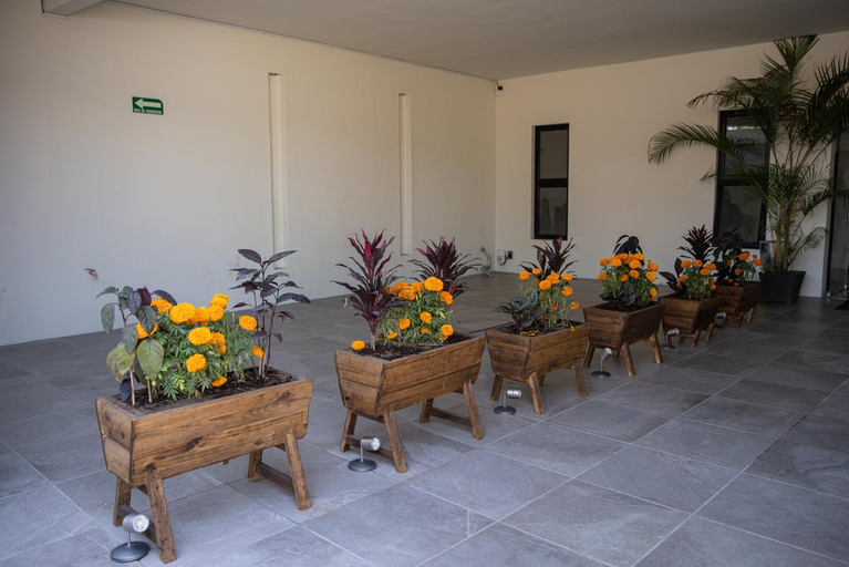 Public Area 4, Hotel Casa Jima Agave, Tequila