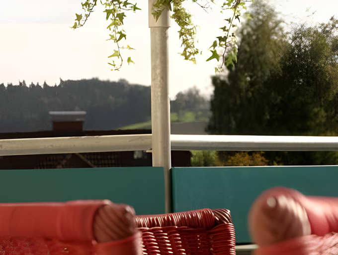 Others 1, Hotel Florianerhof, Linz Land