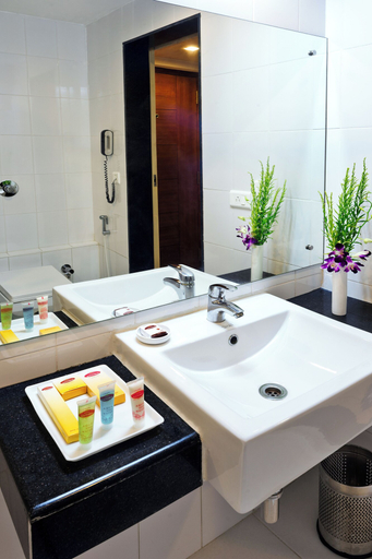 Bathroom 3, Hotel Southern Grand, Krishna