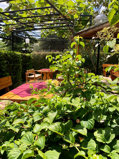 Food & Drinks 5, Hotel Jambo, Varna