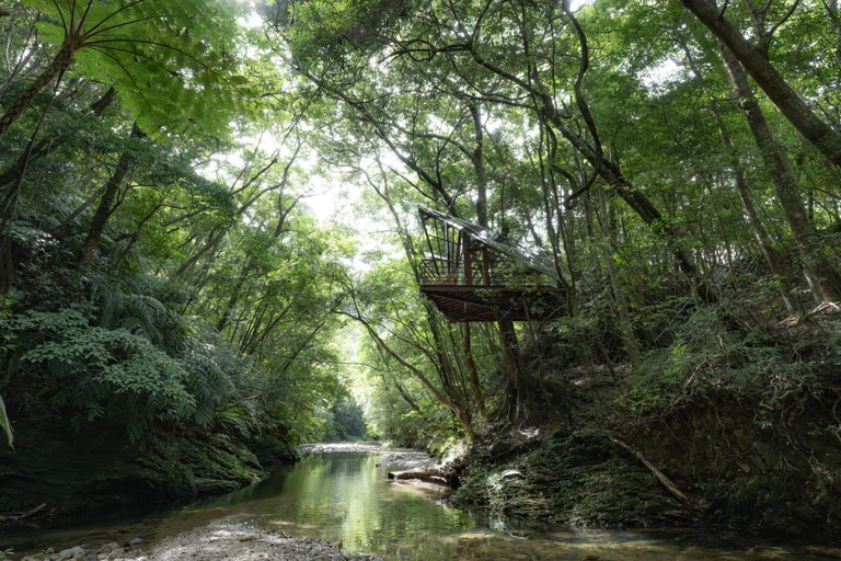 Others 5, Treeful Treehouse Sustainable Resort Okinawa, Nago