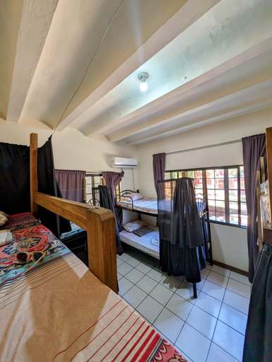 3, Screaming Gecko Hostel Air-Con, Coron