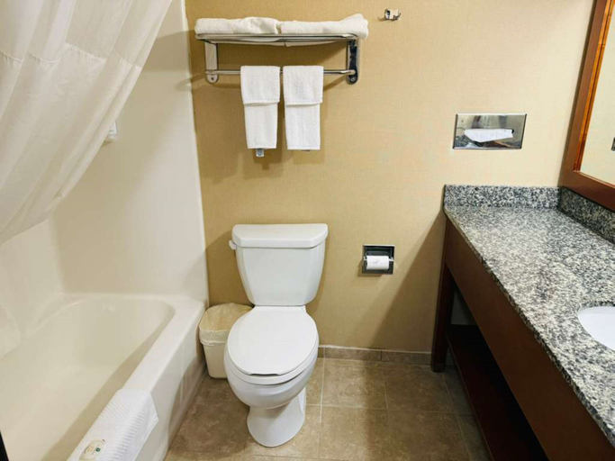 Bathroom 4, Quality Inn Marshall near University, Lyon