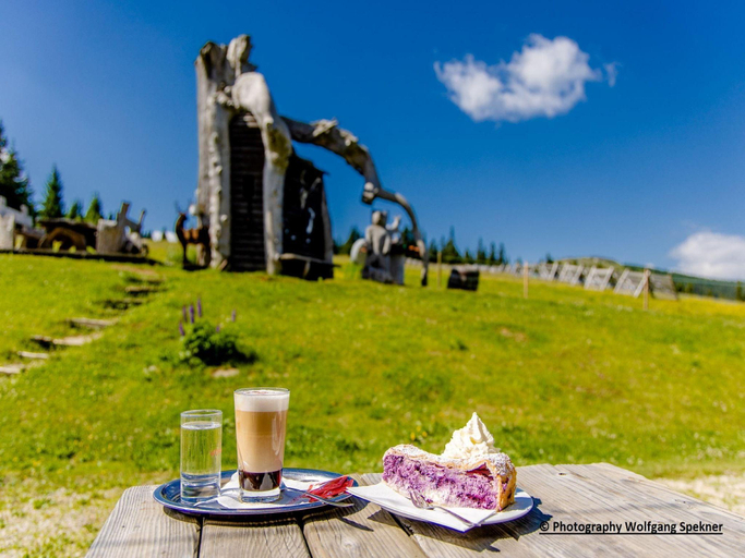 Food & Drinks 4, Chalet in Alps with Private Sauna, Wolfsberg