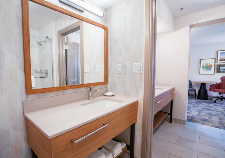 Bathroom 4, Hampton Inn Salt Lake City-North, Davis