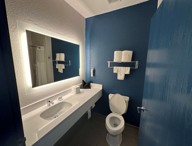 Bathroom 4, Spark by Hilton Round Rock, Williamson