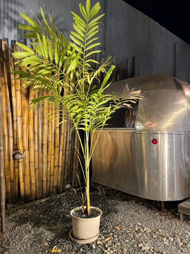 5, Hotel Nanon Sathorn, Yannawa